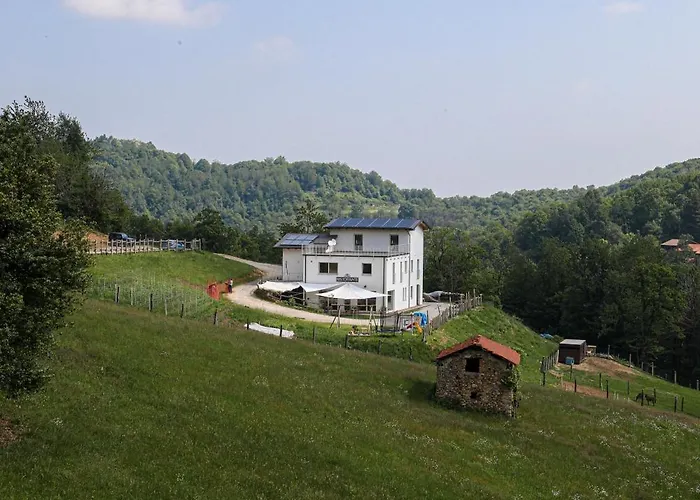Casa Colet 农家乐 *